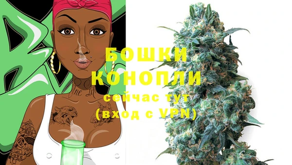 винт Липки
