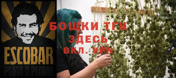 винт Липки