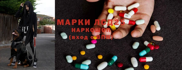 винт Липки