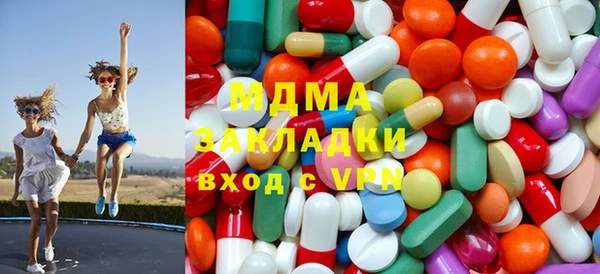 индика Ладушкин