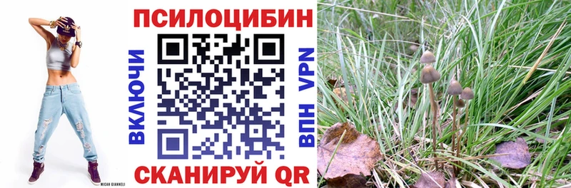 Псилоцибиновые грибы прущие грибы  MEGA tor  Волгоград 