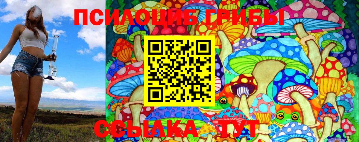 Галлюциногенные грибы GOLDEN TEACHER Волгоград