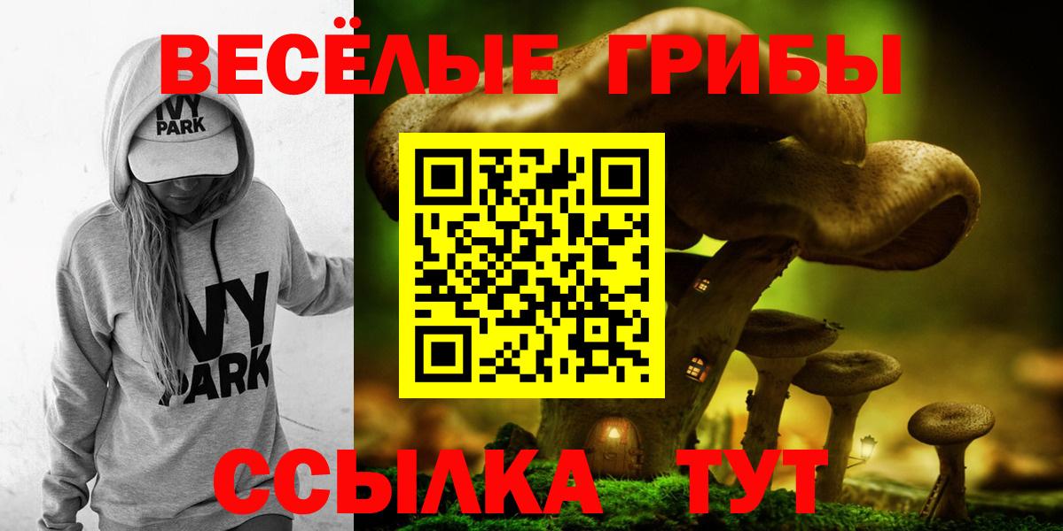 Галлюциногенные грибы Psilocybe Волгоград
