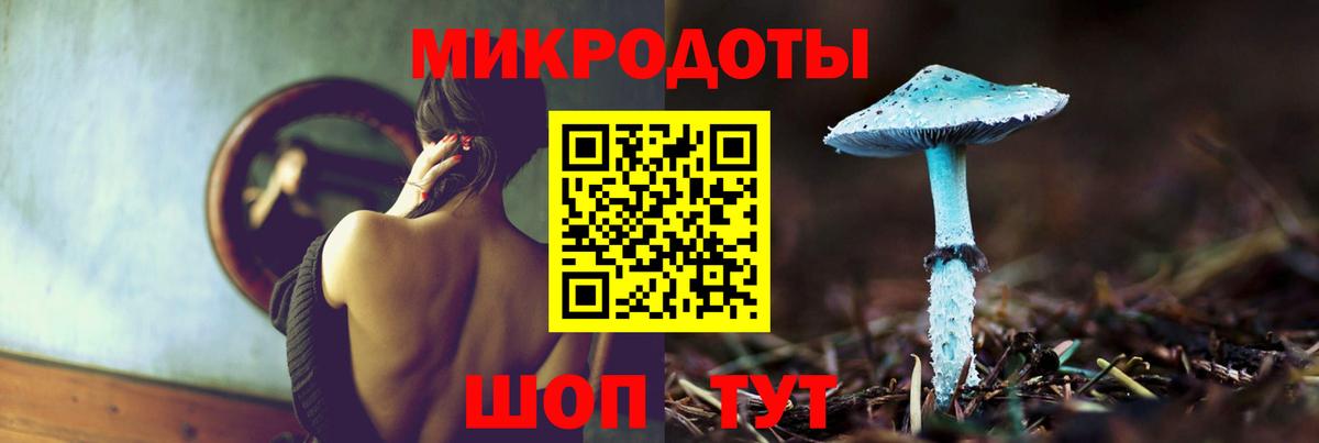магазин  наркотиков  Волгоград  Псилоцибиновые грибы мицелий 